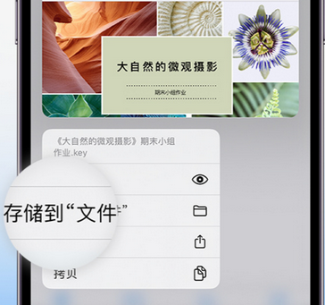 常宁apple维修中心分享iPhone文件应用中存储和找到下载文件