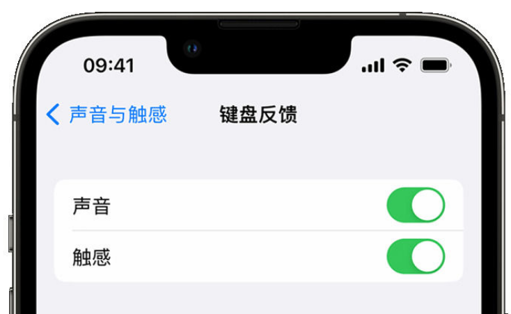 常宁苹果手机维修分享iPhone 14触感键盘使用方法 