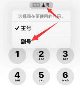 常宁苹果14维修店分享iPhone 14 Pro Max使用副卡打电话的方法 