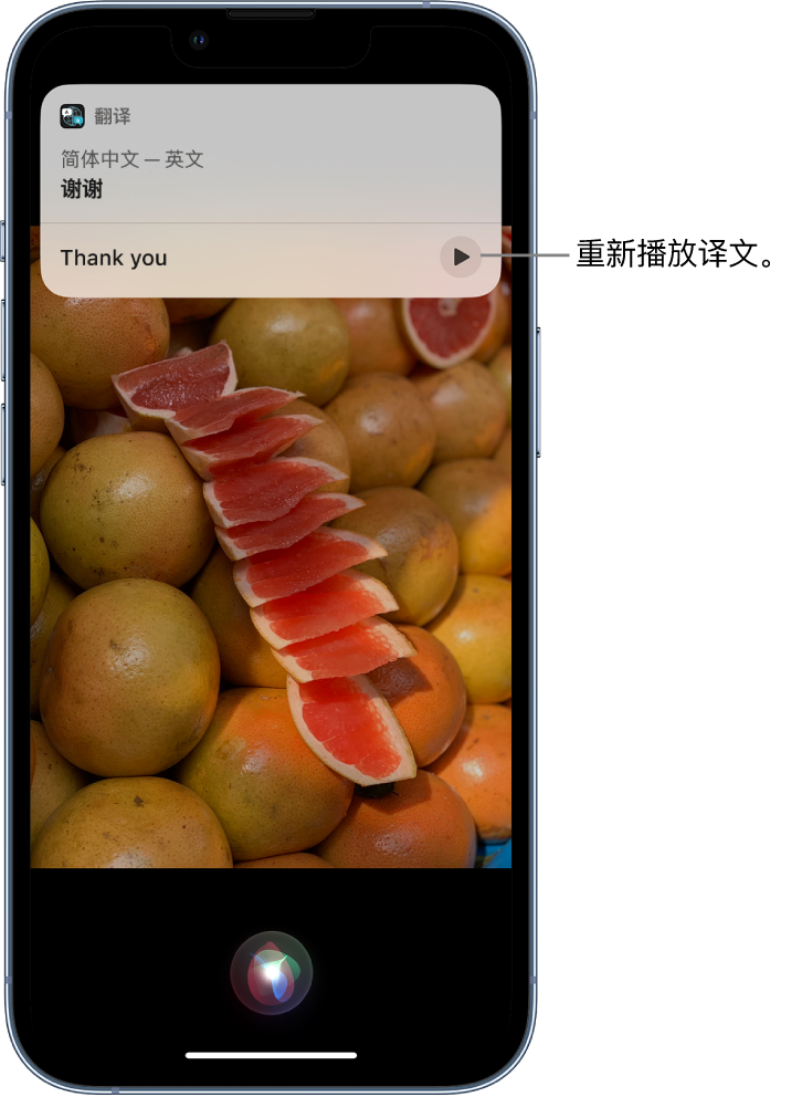 常宁苹果14维修分享 iPhone 14 机型中使用 Siri：了解 Siri 能帮你做什么 