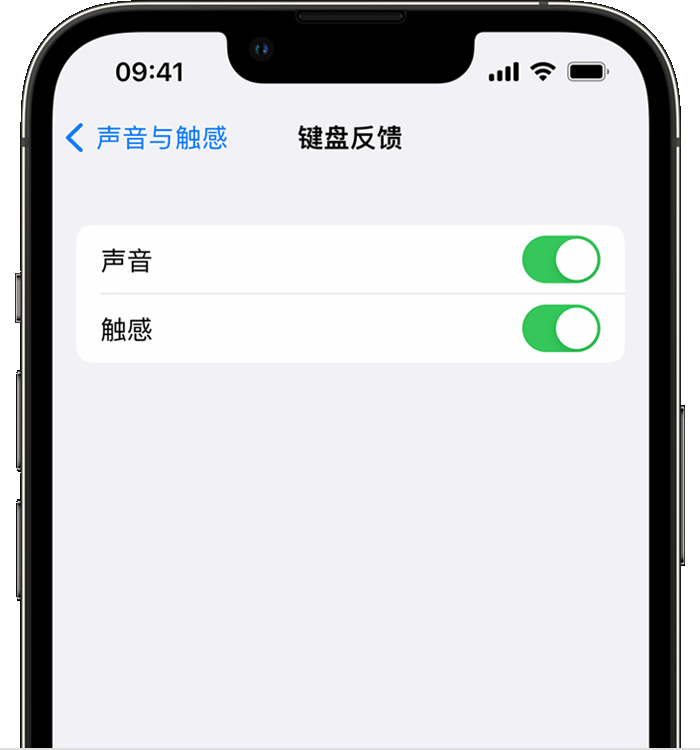 常宁苹果14维修分享iPhone 14 系列机型如何开启键盘声音或触感反馈 