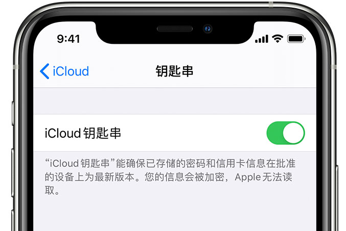 常宁苹果手机维修分享在 iPhone 上开启 iCloud 钥匙串之后会储存哪些信息 