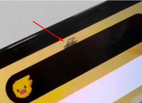 常宁苹果14维修分享iPhone 14 Pro Max灵动岛怎么养宠物 
