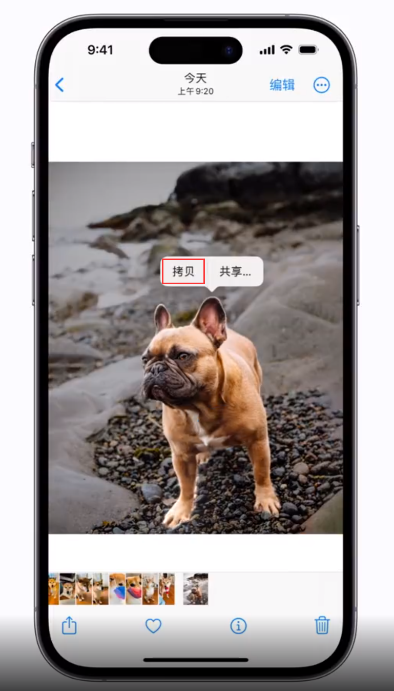 常宁苹果手机维修分享 iOS 16 自带一键抠图功能 