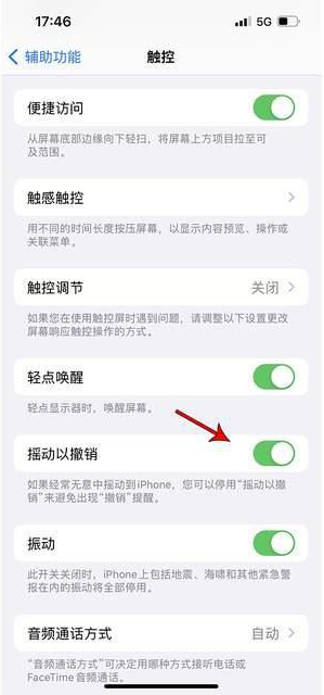 常宁苹果手机维修分享iPhone手机如何设置摇一摇删除文字 