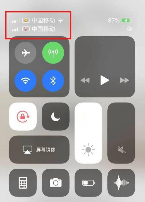 常宁苹果手机维修分享为 iPhone 12 双卡设置标签 