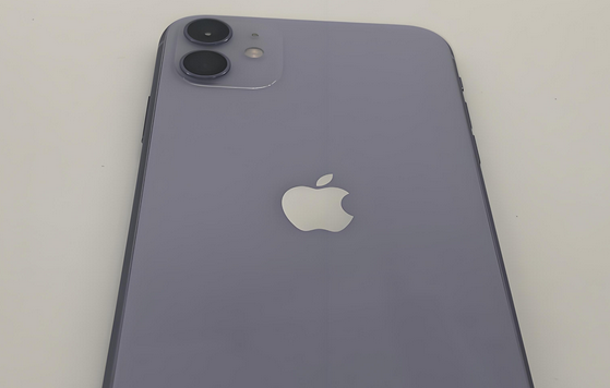 常宁苹果11系统维修分享iPhone11手机系统崩溃无法开机如何解决 